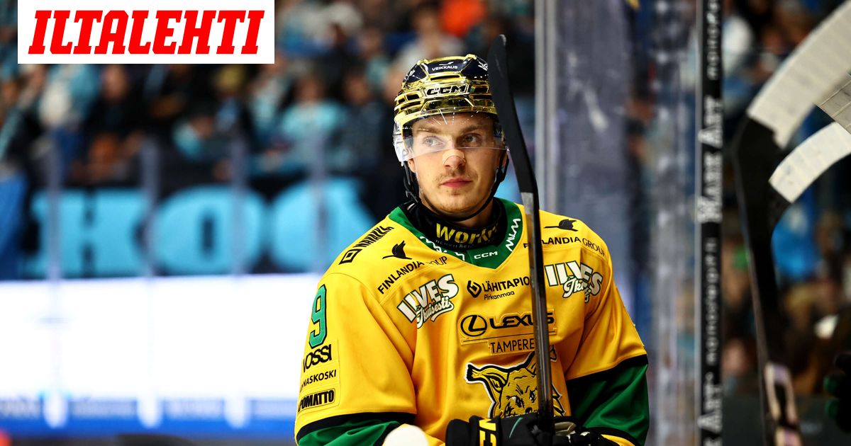 IL seuraa: Ilvekselle karmeita uutisia - Iltalehti