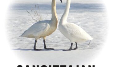 Martti Heikkilän tietoteos porautuu syvälle laulutekstien ja niiden tekemisen ytimeen