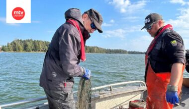 Haamuverkot ovat iso ongelma Suomen rannikolla
