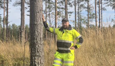 Metsäkoneyrittäjä todisti ikimetsien katoa ja perusti firman, joka suojelee metsää – ”Hälytyskellot vain alkoivat soida ja elämänkatsomus muuttua”