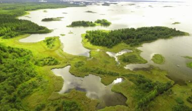 Metsähallitus mukana luonnon tilan suurselvityksessä – moni luontodirektiivin luontotyyppi heikentynyt; naalille, saimaannorpalle ja havuhuppukuoriaiselle valonpilkahduksia