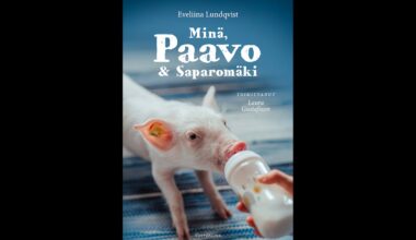 levoton tuhkimo by hanna maria gronlund kulttuuritoimitus INSTA