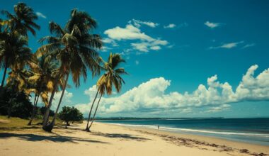 Internet Access in Mozambique