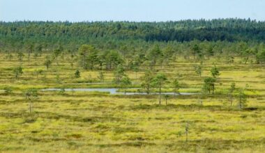 Luontotyyppien ja lajien tilan heikkeneminen jatkuu - Uutiset