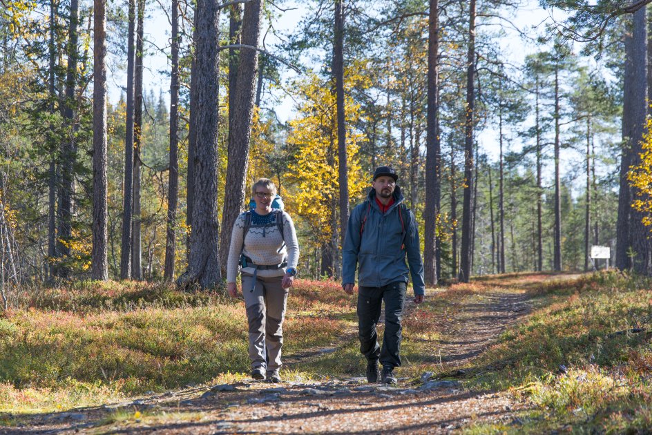 Metsähallituksen asiakaspalvelun suositukset rauhalliset ruskaretkille