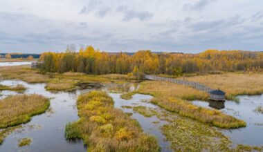 Siikalahden lintukosteikkoa kunnostetaan – pohjapadon rakennus ja ruoppaukset käynnistyvät