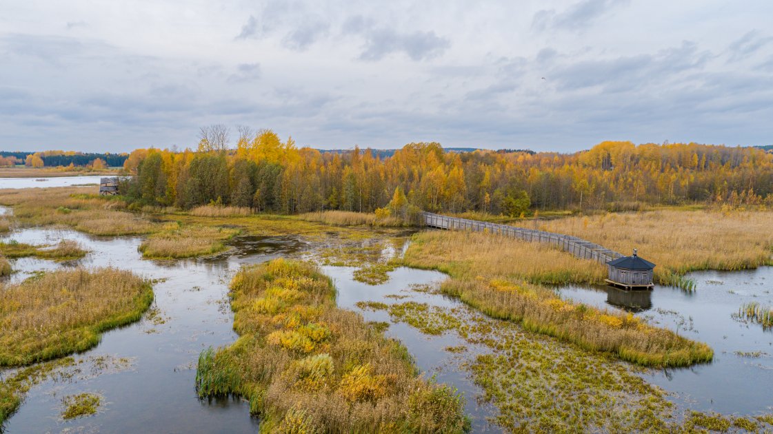 Siikalahden lintukosteikkoa kunnostetaan – pohjapadon rakennus ja ruoppaukset käynnistyvät