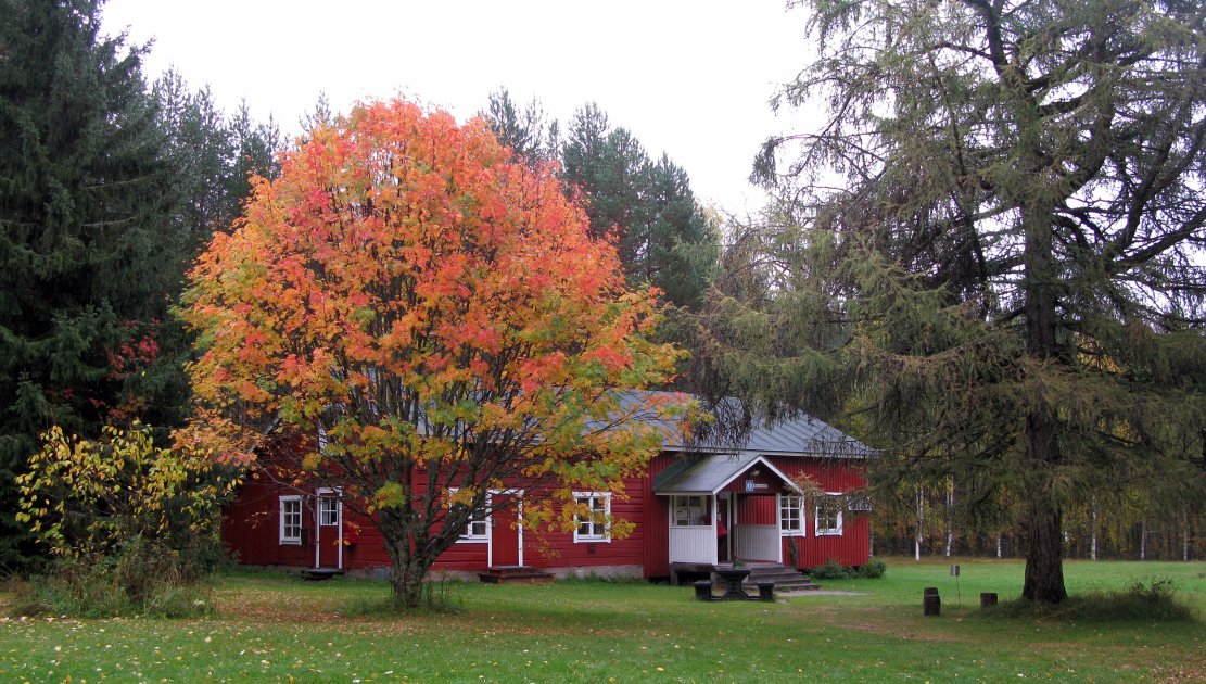Patvinsuon kansallispuiston Suomun tilalle haetaan yrittäjää