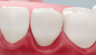 Välimeren ruokavalio voi vähentää iensairauksien riskiä