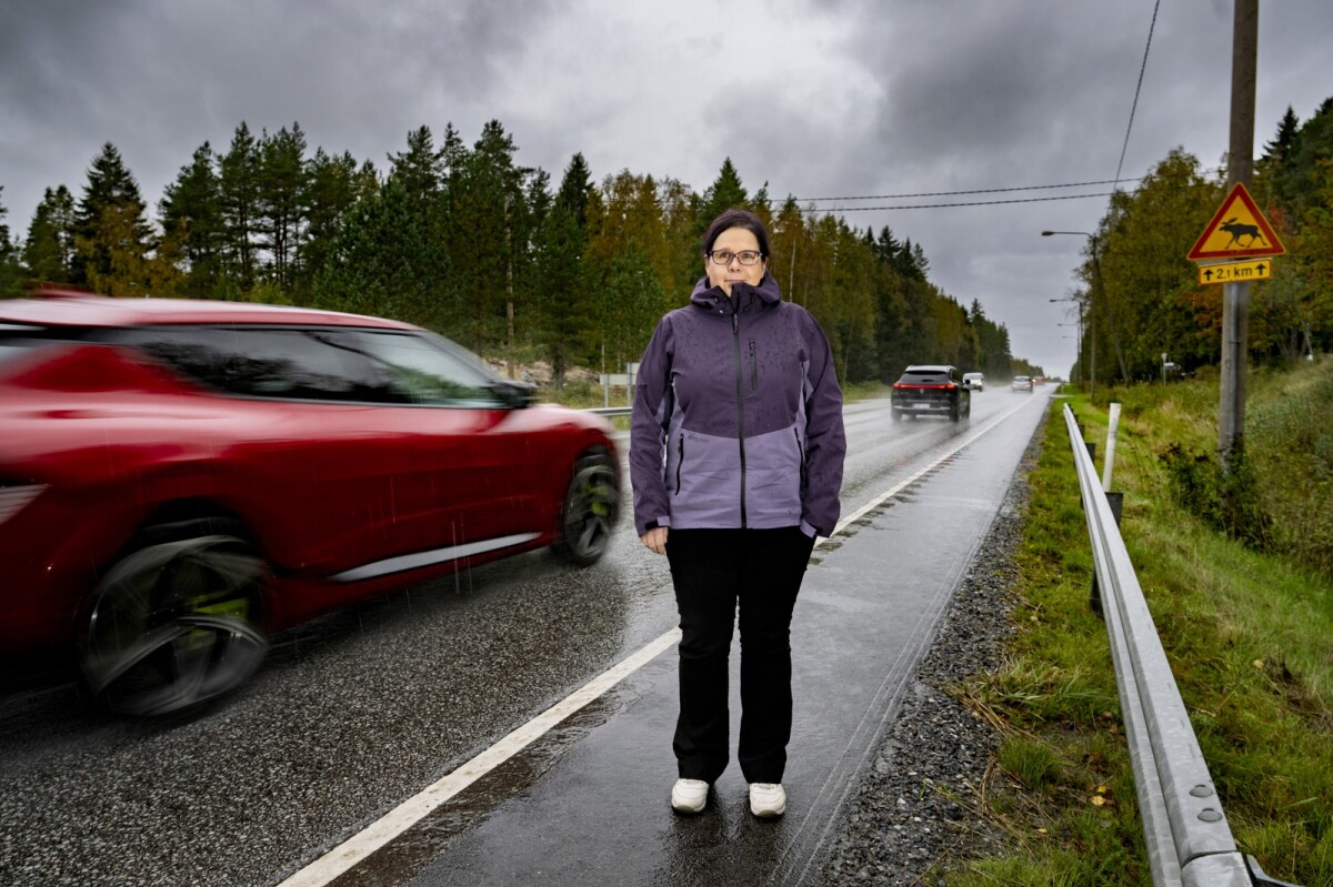 "Hirvi näkyi vasta konepellillä" – Lue tästä, mitkä ovat Keski-Pohjanmaan todennäköisimmät hirvikolaripaikat