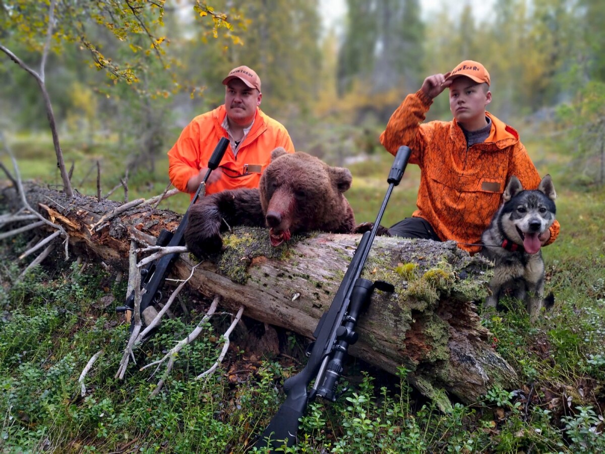 Tulokseton hirvestys muuttui karhunpyynniksi: ”Karjumisesta tulee vieläkin kylmät väreet”