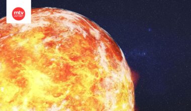 venus aop