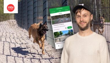 Ville Miekk-oja kehitti Koirapuisto-sovelluksen.