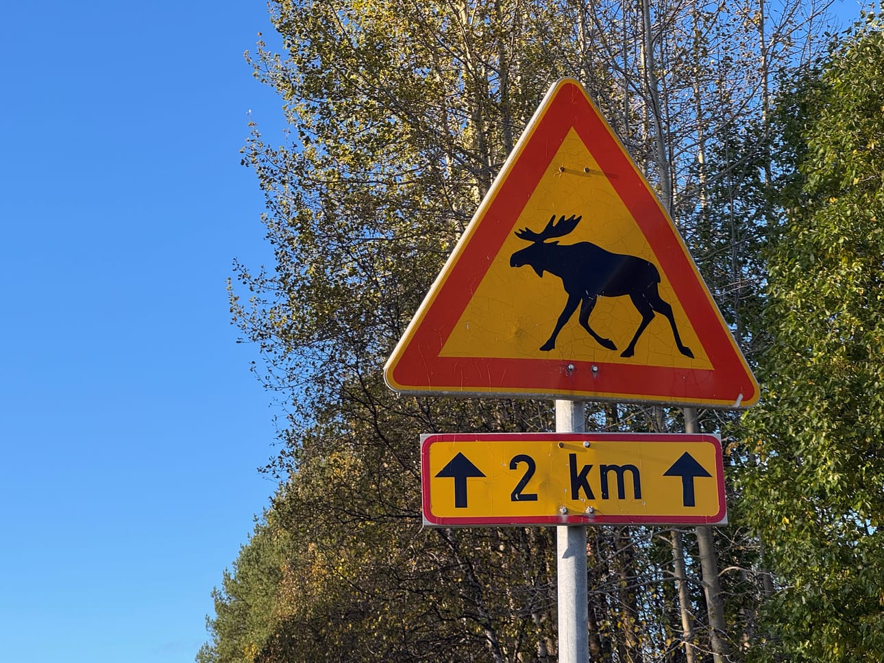 Autoilijoiden kannattaa olla tarkkana erityisesti hirvivaaramerkin osoittamalla alueella.