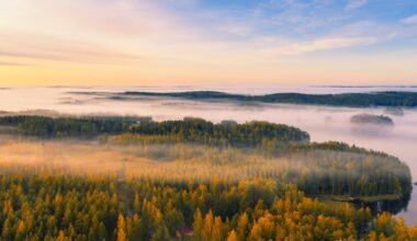 Suomen kannattaa pitää kiinni ympäristötavoitteistaan