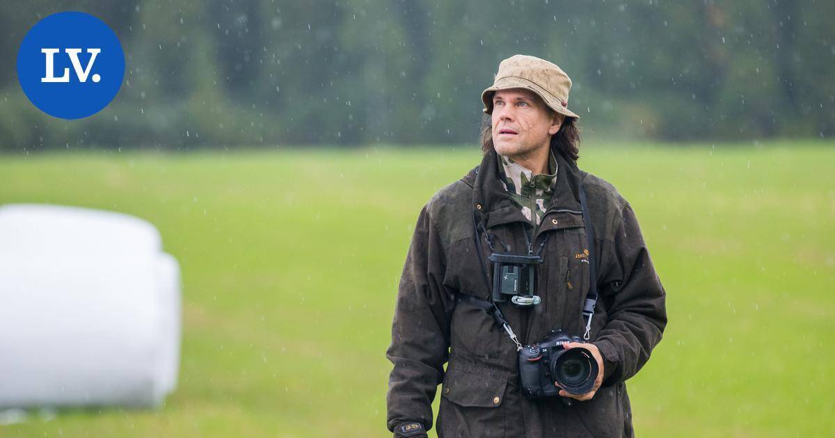 Luonto | Älä sekoile lintulaudalla! Tietokirjailija oikoo 6 virheellistä väitettä talviruokinnasta | Paikalliset