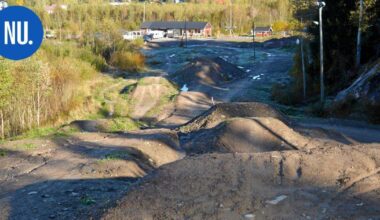 Ympäristö | Tornimäessä alkaa puuston harvennushakkuut – tavoitteena turvallisemmat ulkoilureitit | Paikalliset