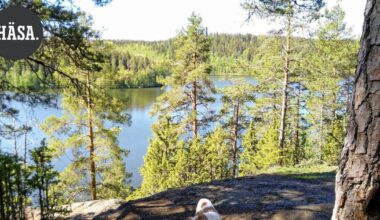 Hämeen Sanomat ottaa kantaa | Aulankoa voi kehittää luontoa kunnioittaen: Valtuusto velvoitti kaupungilta joustavuutta kumppanina | Pääkirjoitus & mielipide