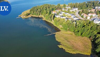 Päätoimittajalta | Merenelävä aiheutti erikoisen vyyhdin Espoossa – kohdellaanko luvanhakijoita tasapuolisesti? | Pääkirjoitus & mielipide