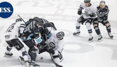 Pelicans pienillä muutoksilla TPS:n kimppuun – tässä lahtelaisten kokoonpano illan matsiin | Urheilu