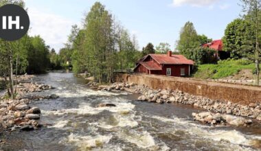 Luontolive | Tainionvirta vapautui vaelluskaloille – WWF:n kalakamera seuraa kutuvaellusta Sysmässä | Paikalliset