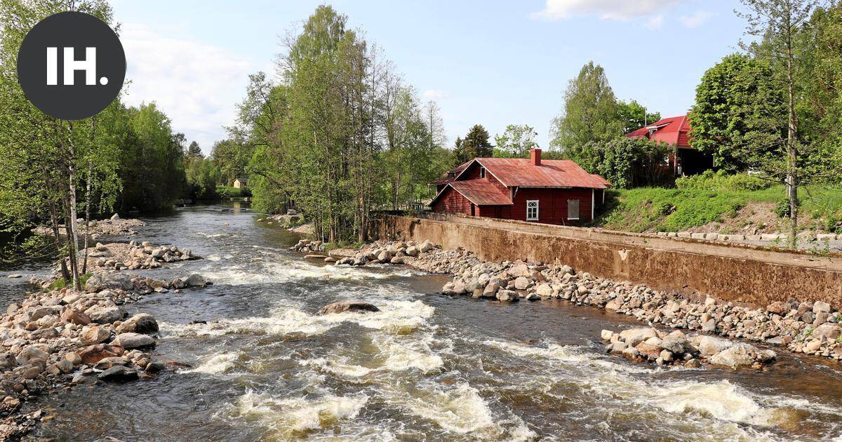 Luontolive | Tainionvirta vapautui vaelluskaloille – WWF:n kalakamera seuraa kutuvaellusta Sysmässä | Paikalliset