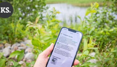 Kännykkä kädessä vieraslajien kimppuun? – Pyhtää harkitsee mobiilipelin käyttöönottoa ensi vuonna | Paikalliset