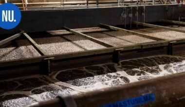 Ympäristö | Kiinteistön liittämisvelvollisuus jätevesiviemäriin etenee – ympäristökeskus kuuli omistajia uhkasakon uhalla | Paikalliset