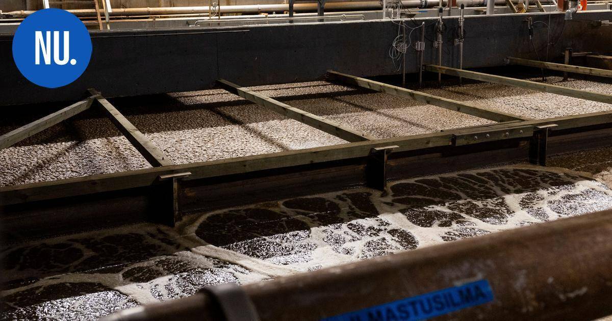 Ympäristö | Kiinteistön liittämisvelvollisuus jätevesiviemäriin etenee – ympäristökeskus kuuli omistajia uhkasakon uhalla | Paikalliset