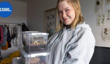 Jyväskyläläinen siiraharrastaja Janna Savin, 24, kurkistaa aina kivien alle: "Siirat ovat tosi söpöjä – ne eivät pure, hypi tai lennä" | Teemat