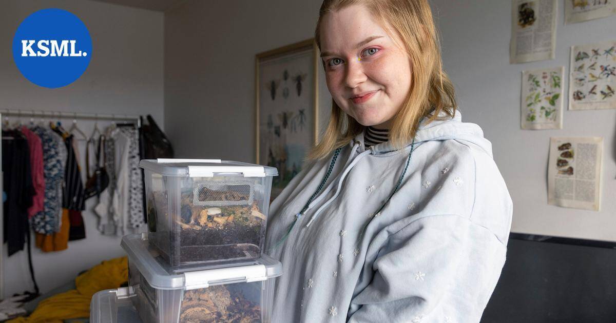 Jyväskyläläinen siiraharrastaja Janna Savin, 24, kurkistaa aina kivien alle: "Siirat ovat tosi söpöjä – ne eivät pure, hypi tai lennä" | Teemat