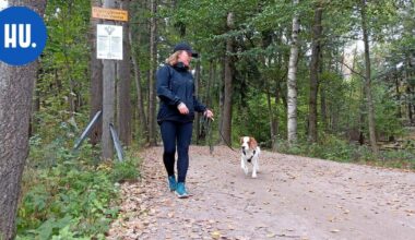Keskuspuistoon asennettiin laitteita, jotka tallentavat lenkkeilijän huohotuksen ja ohikulkijan tilitykset | Paikalliset