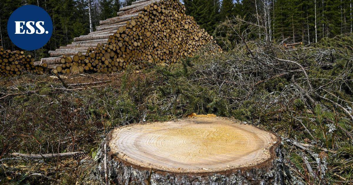 Suomessa luonnonvarojen kulutus henkeä kohden Euroopan suurinta | Uutissuomalainen