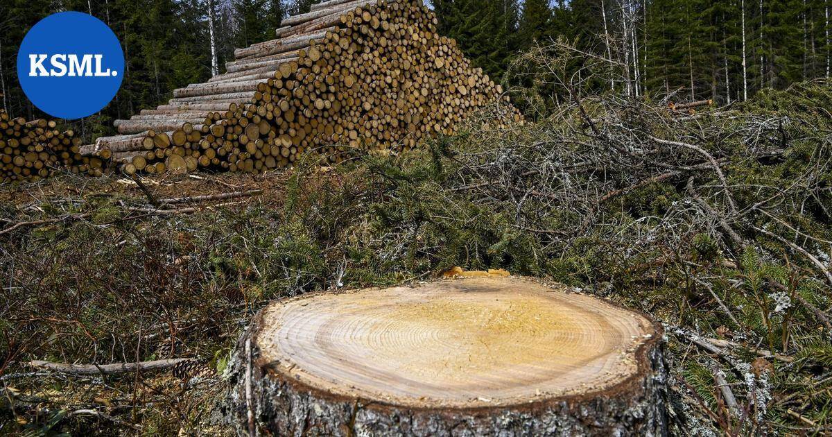 Suomessa luonnonvarojen kulutus henkeä kohden Euroopan suurinta – "Uhkaa kansalaistemme hyvinvointia" | Uutissuomalainen