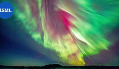 Mikä meitä puhuttelee luontokuvissa? Sen tietää työnohjaaja ja luontokuvaaja Leena Aijasaho | Teemat