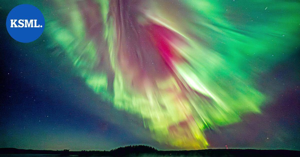 Mikä meitä puhuttelee luontokuvissa? Sen tietää työnohjaaja ja luontokuvaaja Leena Aijasaho | Teemat