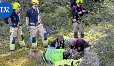Kirkkonummi | Terhi Häyryn poni livahti pihatosta ja vajosi suohon Kirkkonummella – näin pelastusoperaatio sujui | Paikalliset