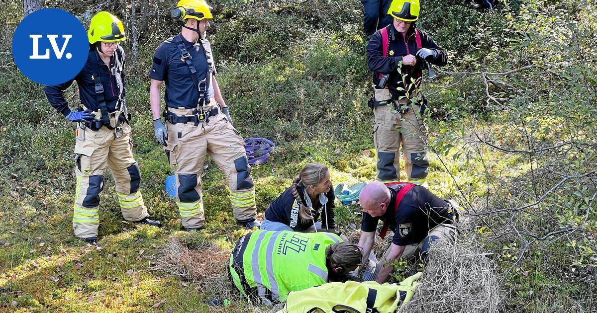 Kirkkonummi | Terhi Häyryn poni livahti pihatosta ja vajosi suohon Kirkkonummella – näin pelastusoperaatio sujui | Paikalliset