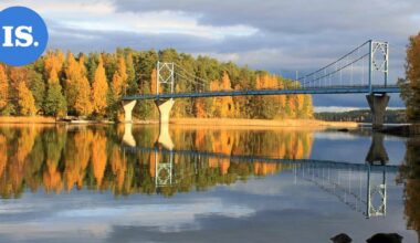 Lukijan luontokuvat | Muuttolintuja ja tunnelmallisia maisemia – Katso kuvat! | Paikalliset