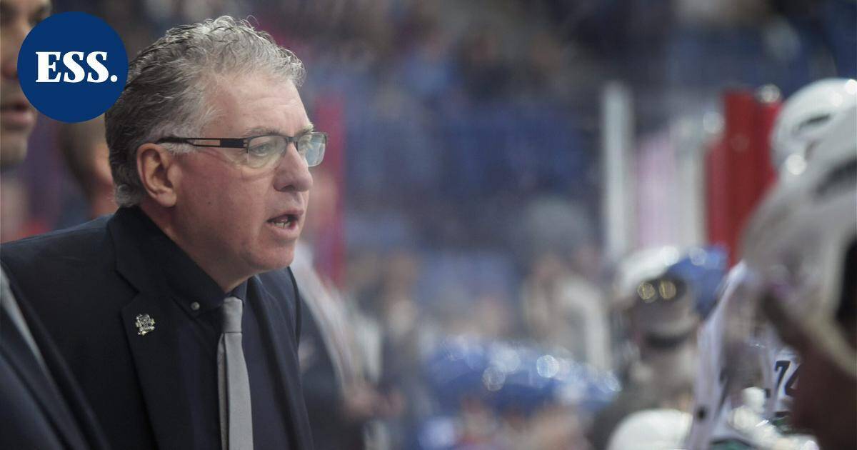 Leijonien entinen päävalmentaja Doug Shedden Vaasan Sportin peräsimeen | Urheilu