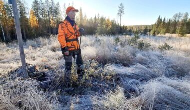 Katso kuvat | Hirveä ikävä yhteisjahdissa – Haukku kuului mutta ei paukkua, kunnes toisella kierroksella kaatui sarvipää | Paikalliset