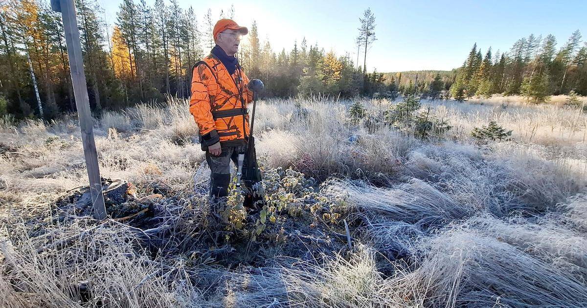 Katso kuvat | Hirveä ikävä yhteisjahdissa – Haukku kuului mutta ei paukkua, kunnes toisella kierroksella kaatui sarvipää | Paikalliset