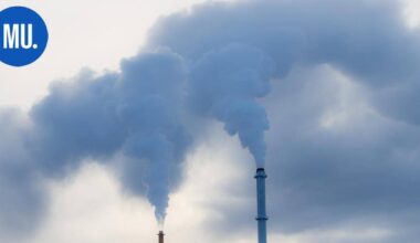 Ympäristö | Mäntsälän kunnan energiansäästö on onnistunut | Paikalliset