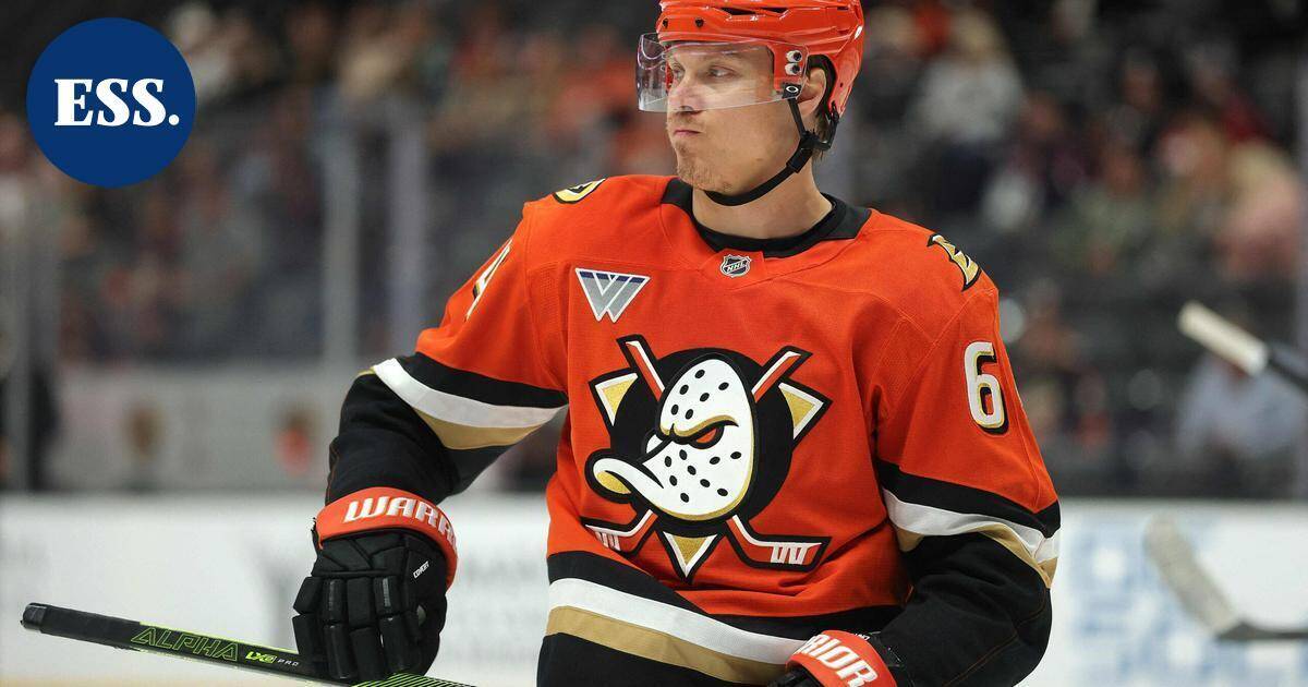 Anaheimin Granlund kirjautti huippupisteet Bostonia vastaan, tilille kilahti kaksi maalia ja kolme syöttöpistettä | Urheilu