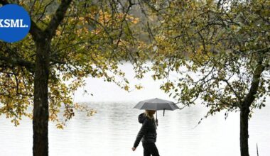 Alkuviikko on pilvinen ja pääosin sateinen | Uutissuomalainen