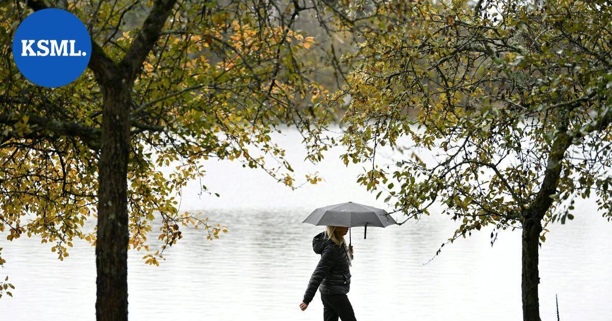 Alkuviikko on pilvinen ja pääosin sateinen | Uutissuomalainen