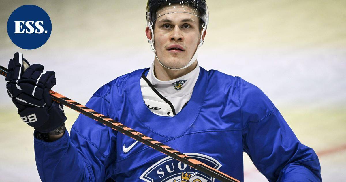 Leijonien valmennusjohto valitsi "energisen ja positiivisen" Jesse Puljujärven | Urheilu