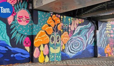 Tampereen uudelle rantareitille valmistui seinämaalaus | Paikalliset