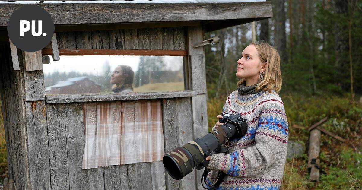Susanna Soisalo, 27, viljelee maata ja ottaa sykähdyttäviä luontokuvia – Kohtaaminen lapinpöllön kanssa pysäytti | Paikalliset