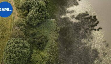 Suomen ympäristökeskus: Sisävesien lajisto on merkittävästi heikentynyt | Uutissuomalainen